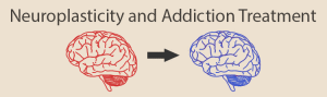 Neuroplasticity and Addiction Treatment: picture of red brain followed by an arrow and a blue brain, indicating how neuroplasticity allows the brain to change