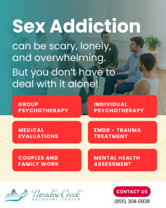 Sex addiction treatment services including individual therapy, group psychotherapy, EMDR trauma treatment, and family counseling